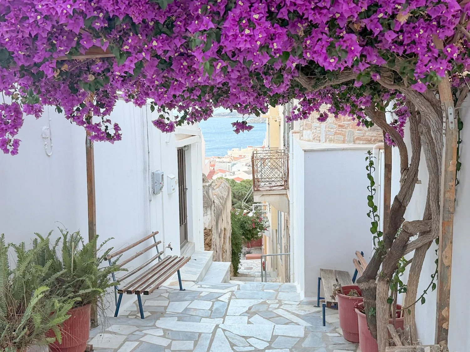 Slow down in Syros | architecture, sea & Greek food