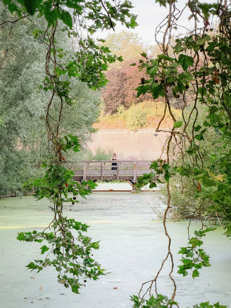 A day in nature in Lille, France Reel